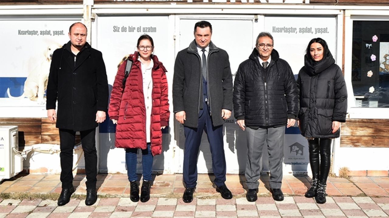 Sokak hayvanları için için iş birliği yapacaklar