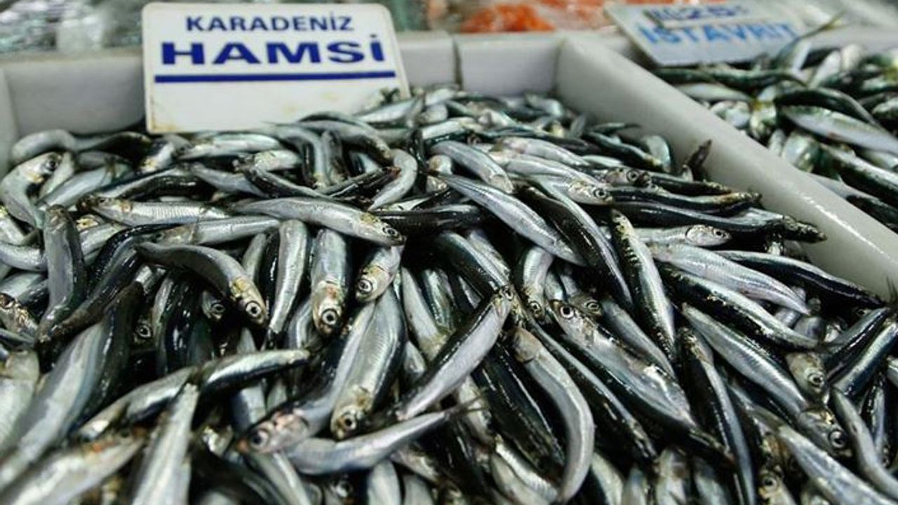 Yeni yılda hamsi sevinci yaşıyor