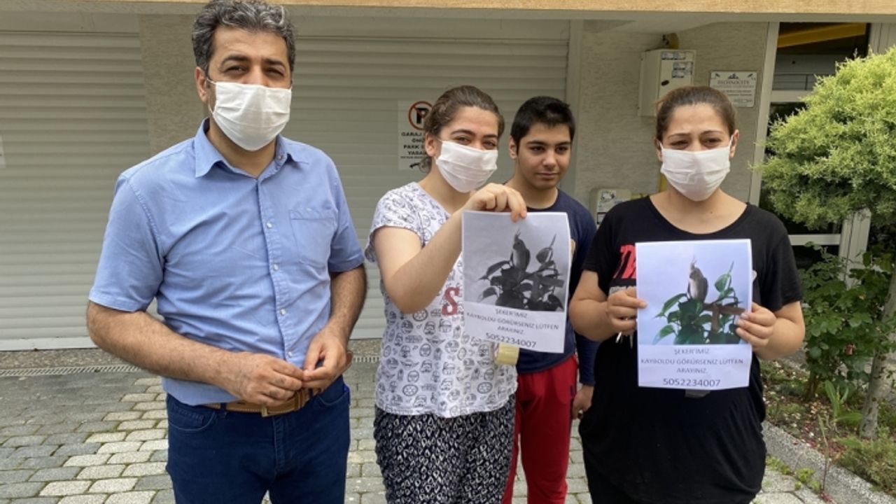 Bütün aile ‘Şeker’ için seferber oldu
