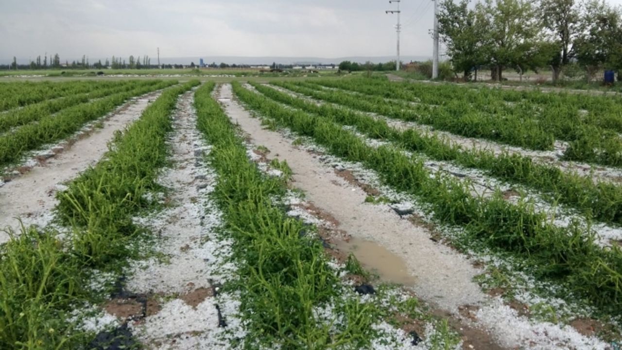 İlk defa böyle şiddetlisini gördük