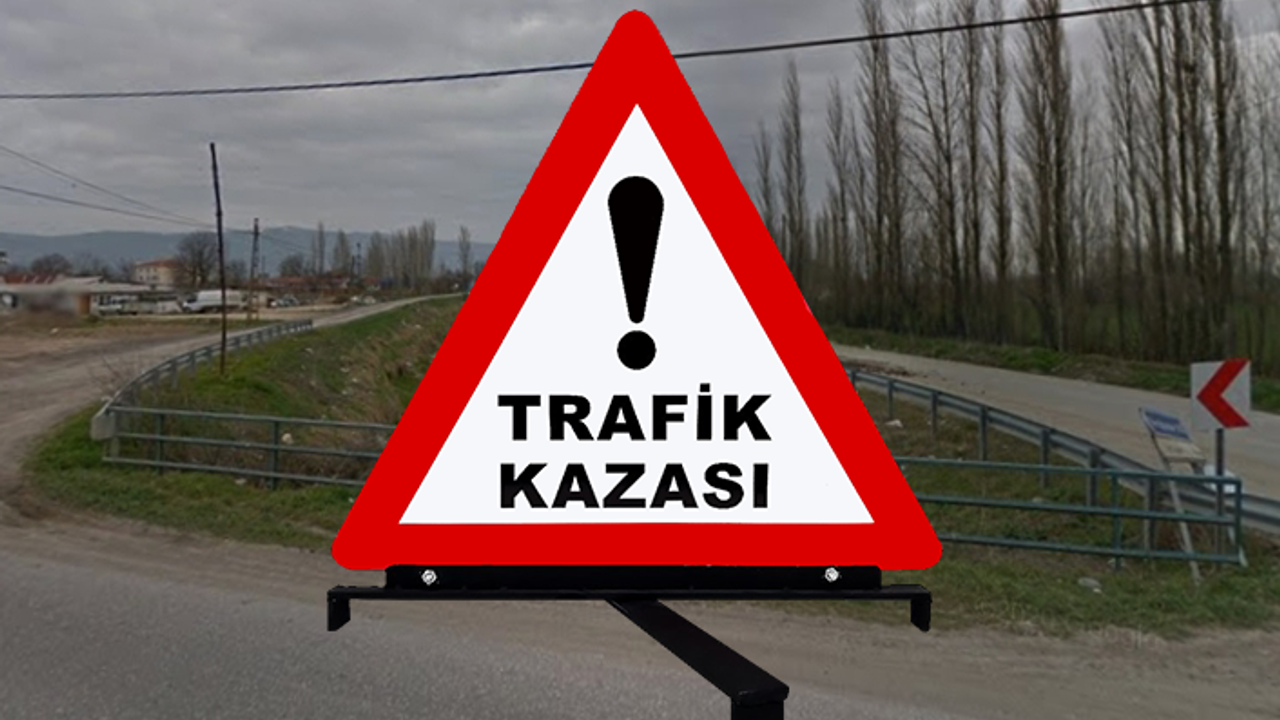 Panik yapınca aracıyla sulama kanalına uçtu