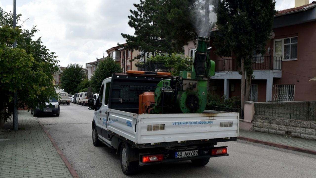 Sinek ilaçlama çalışmaları devam ediyor