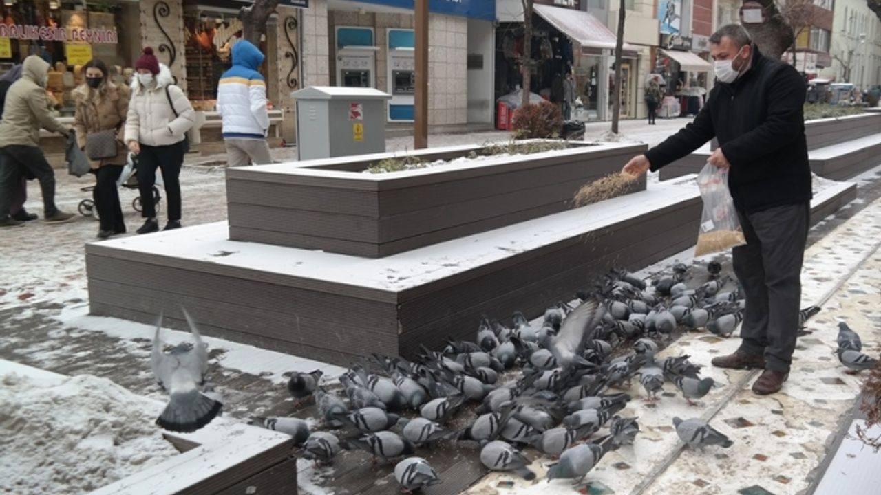 Güvercinler her gün onu gözlüyor