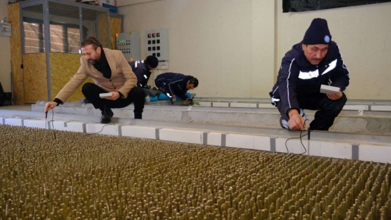 İpek böcekçiliği Eskişehir'den filizleniyor