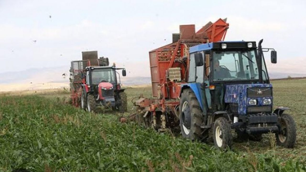 Sivrihisar'da pancar üreticisi yarı yarıya düştü