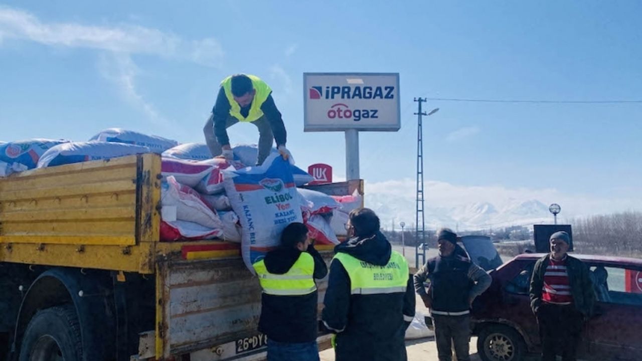 Depremzede üreticilere yem desteği sürüyor
