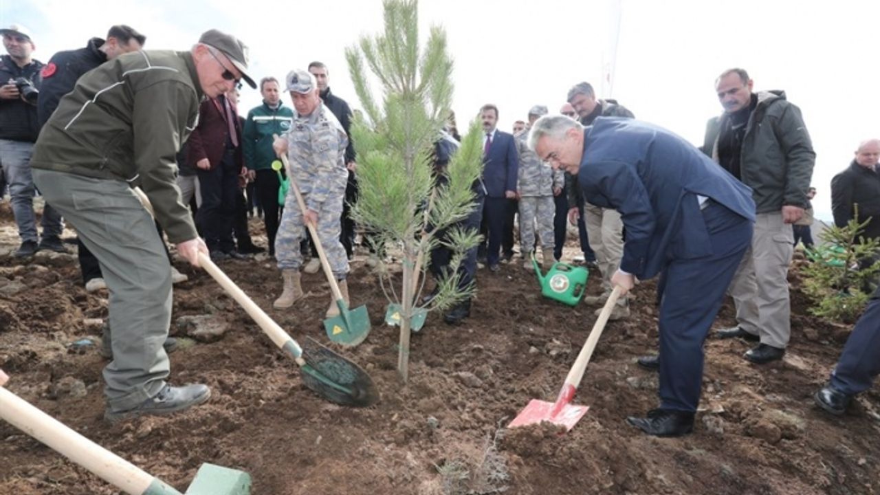 Bu yıl fidanlar deprem şehitleri anısına büyüyecek