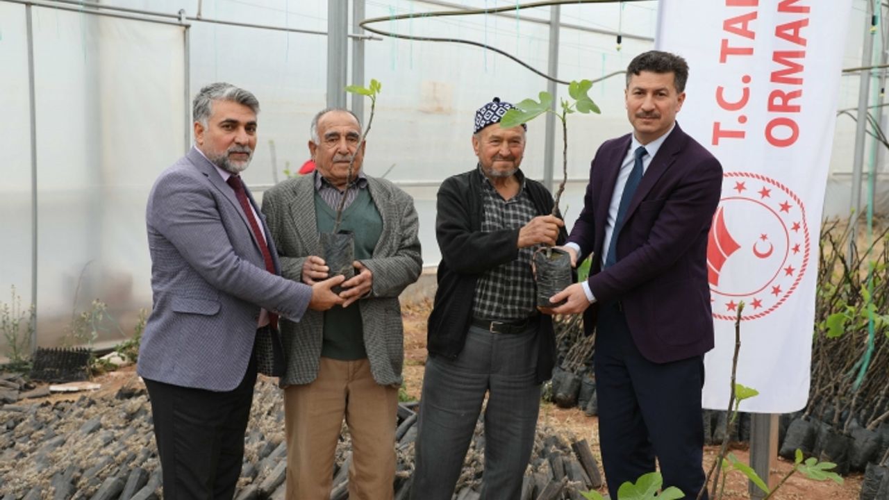 'Bursa Karası' fidanları Sarıcakaya'da filizlenecek