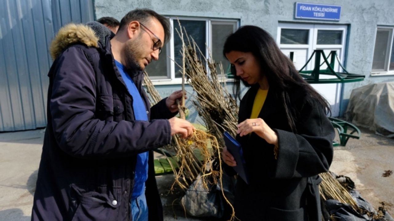 Eskişehir'den İzmir'e dut fidanı hibesi