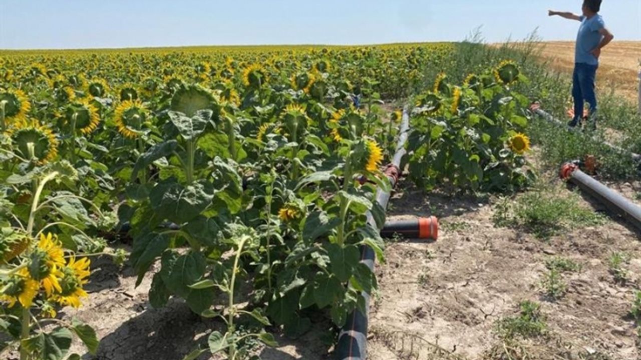 Çiftçilere yenilikçi sulama sistemleri ile destek