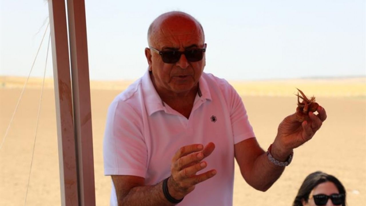 Türkiye’nin en büyük Safran tarlası Eskişehir’de kuruldu
