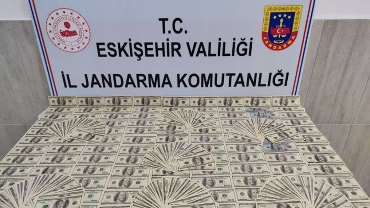 1 Milyon Lira değerinde sahte Doları piyasaya sürecekti!