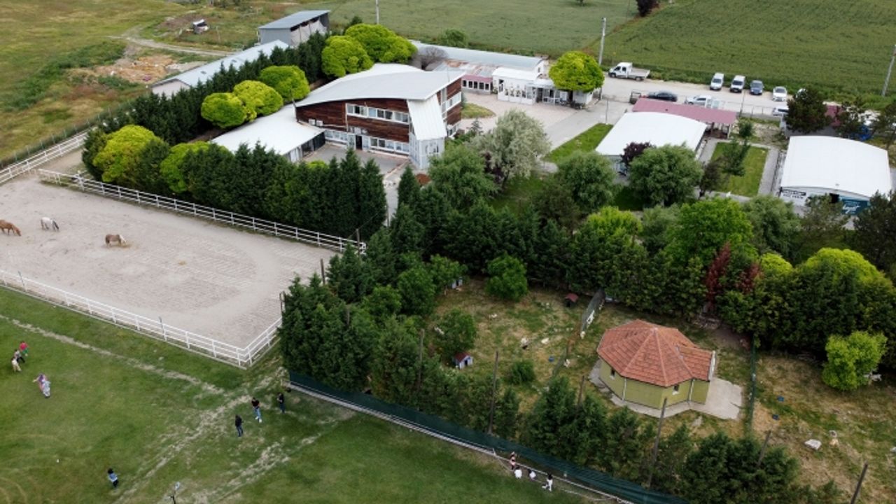 Hayvanları Koruma Günü’ne özel etkinlikler