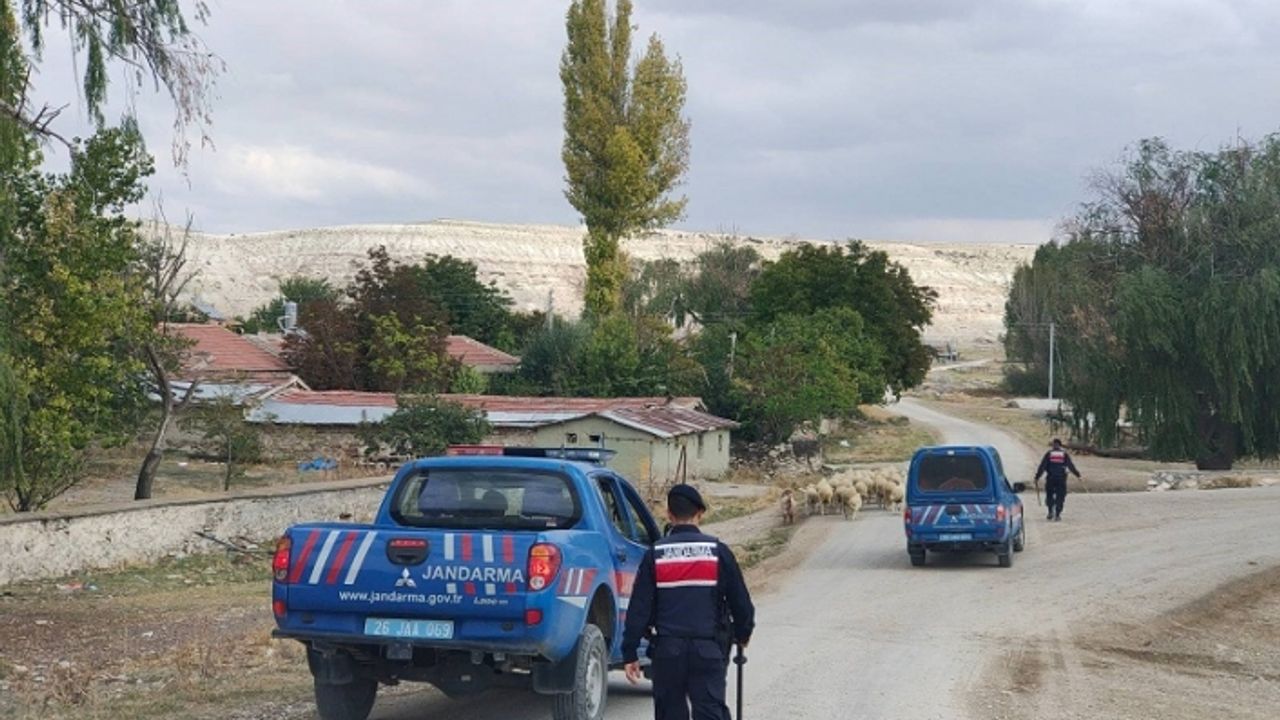 Kayıp hayvanları 6 kilometre ötede jandarma buldu