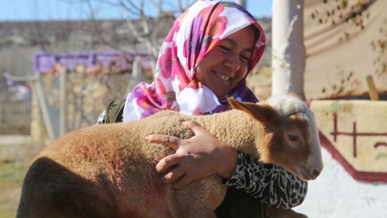 Seyitgazi'de çiftçinin yüzünü güldüren destek