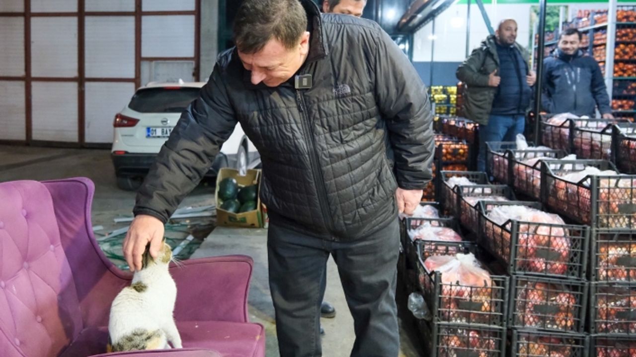 Özkan Alp sokak hayvanlarını koruyacak projesini açıkladı