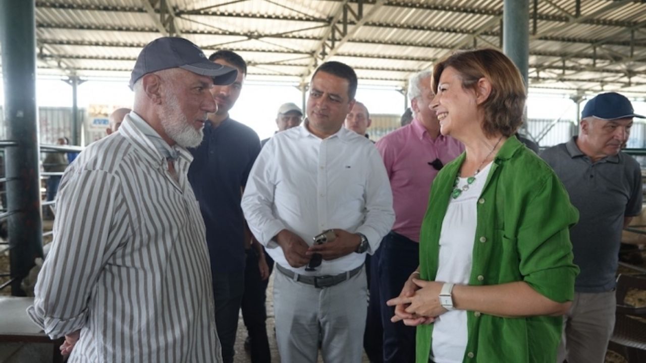 Başkan Ünlüce Hayvan Pazarı'nı gezdi