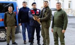 Jandarmanın güvenli kolları onu da sarmaladı