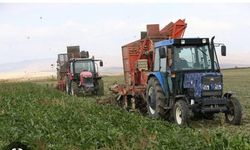 Sivrihisar'da pancar üreticisi yarı yarıya düştü