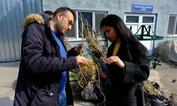 Eskişehir'den İzmir'e dut fidanı hibesi