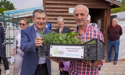 13 bin fide toprakla buluşmak için dağıtıldı