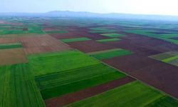 Alpu Ovası'nda kamulaştırmaya izin çıkmadı