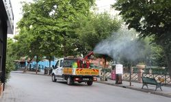 Yeşil alanlar zararlılara karşı ilaçlanıyor
