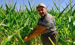 Gübre desteği çiftçinin yüzünü güldürdü