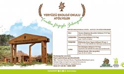 Yeryüzü Ekoloji Okulu'nda Eylül atölyeleri başlıyor