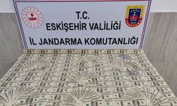 1 Milyon Lira değerinde sahte Doları piyasaya sürecekti!