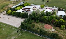 Hayvanları Koruma Günü’ne özel etkinlikler