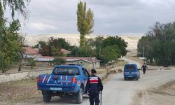 Kayıp hayvanları 6 kilometre ötede jandarma buldu