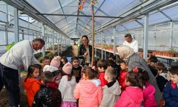 Bitkilerin büyüme evrelerini uygulamalı olarak gördüler