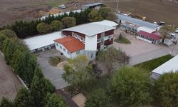 14 yılda 12 bin 871 sokak hayvanı yuvalandı