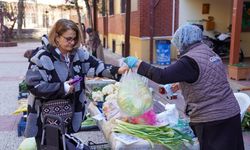 Doğal ürünlere ilgi gün geçtikçe artıyor