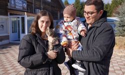 Doğal Yaşam Merkezi'nden sıcak yuvalarına kavuştular