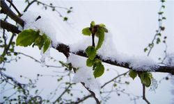 Meteoroloji uyardı! 21 Mart'tan itibaren 3 gün sürecek..