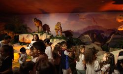 Çocuklar yenilenen Dinozor Mağarasını çok sevdi