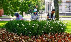Seralarda yetiştirilen rengarenk çiçekler parklarla buluştu