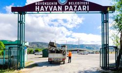 Hayvan Pazarı'nda yer satışları başlıyor