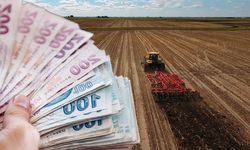 Tarımsal üretim yapan 4 bin 197 çiftçiye 37 milyon Lira destek