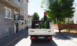 Mahalleler haşerelere karşı ilaçlandı