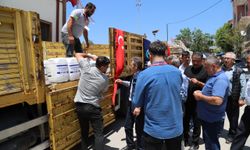 Büyükşehir'den kiraz üreticisine don sonrası can suyu