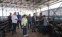 Başkan Ataç kurban pazarında satıcılarla bir araya geldi