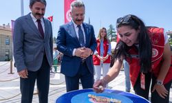 Geleneksel Oyunlar Tırı Valilik Meydanı'nda öğrencilerle buluştu