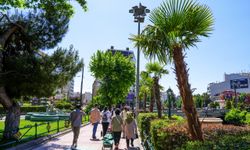 Köprübaşı palmiye ve zakkumlarla süslendi