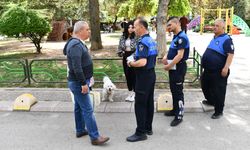 Zabıta 'Tertemiz Eskişehir' denetimlerini hızla sürüyor