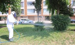 Halk sağlığı için sokaklar ilaçlanıyor