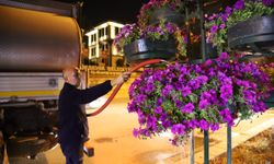 Şehri renklendiren çiçek ve ağaçlar gece bakımı ile canlanıyor