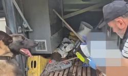 Seyir halindeki otobüse uyuşturucu operasyonu: 1 kilo Skunk ele geçirildi